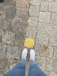 profil