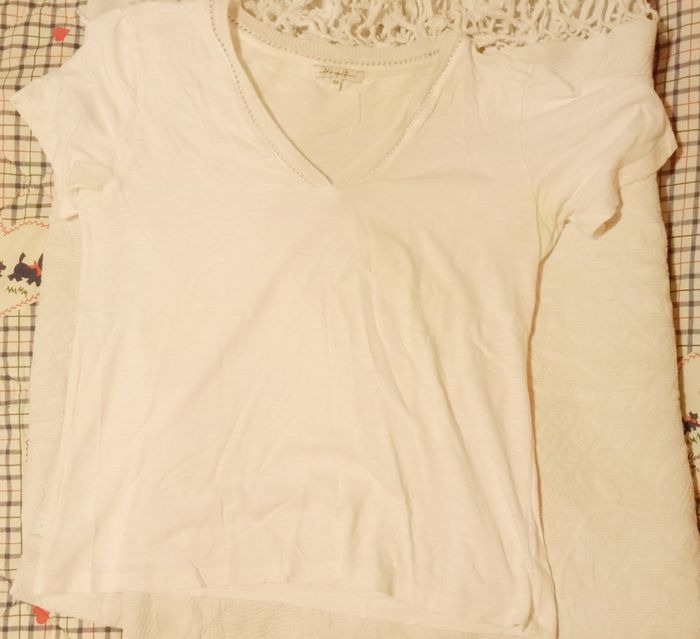 Tee-shirt Lola Espeleta - photo numéro 4