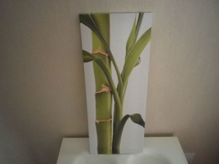 TOILE BAMBOU
