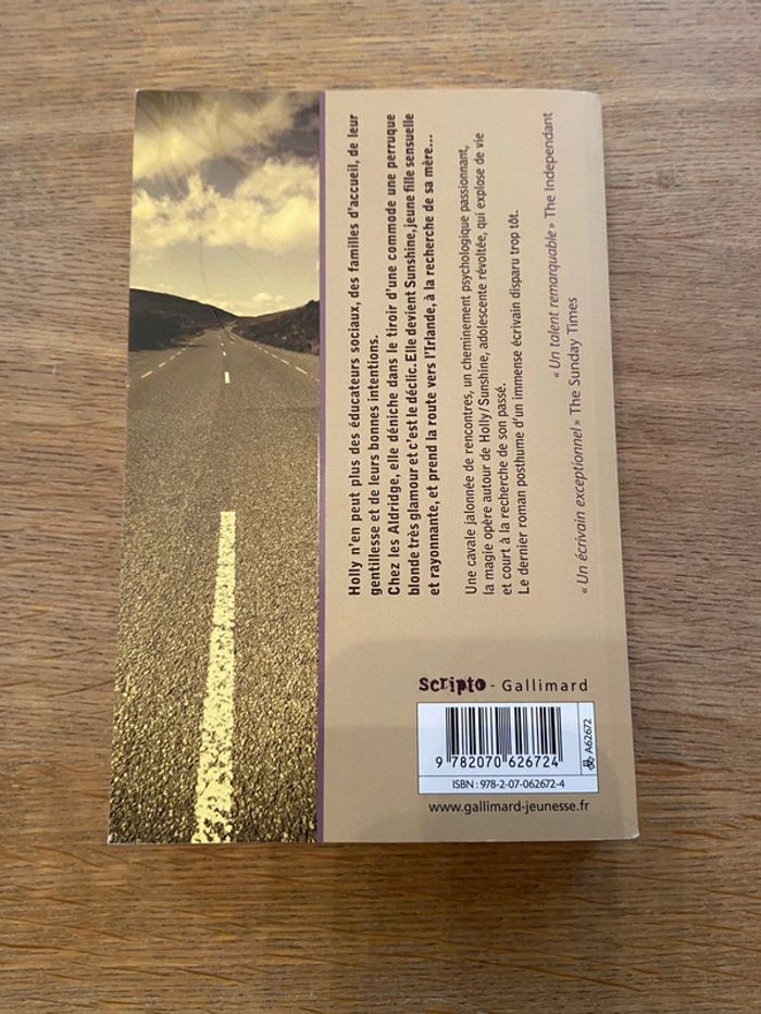 Où vas-tu, Sunshine ? Siobhan Dowd Éditions Gallimard - photo numéro 3