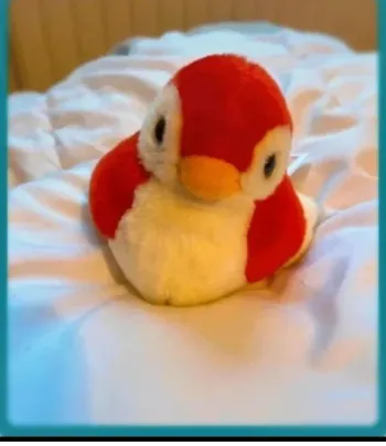 Oiseau