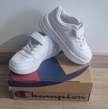 Baskets champion