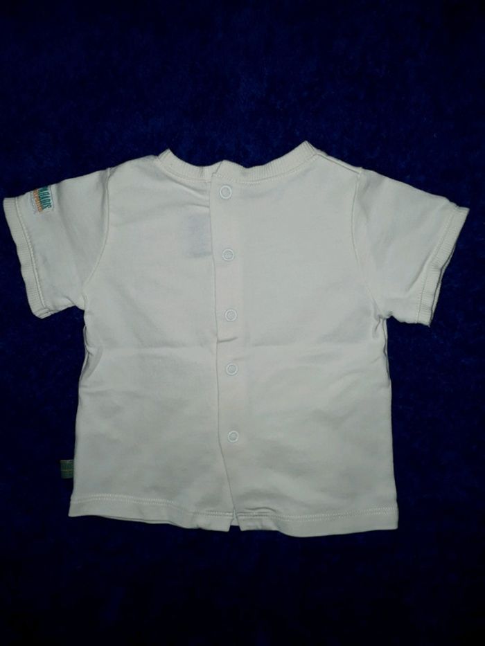 T shirt 6 mois - photo numéro 3