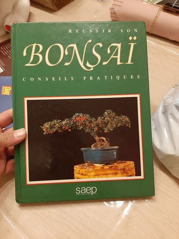 Reussir son Bonsaï - Conseils Pratiques
