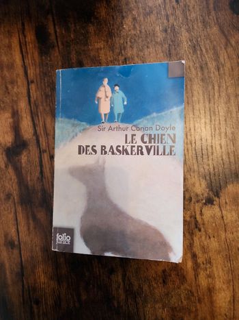 Livre : le chien de Baskerville