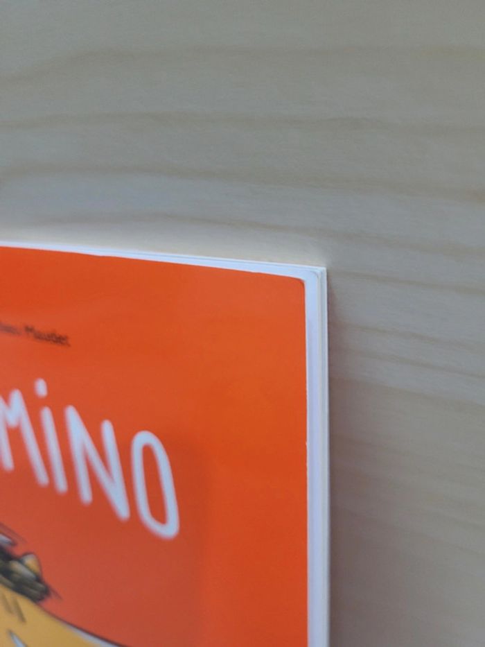 🌺 Livre (école des loisirs) : Palomino - photo numéro 6