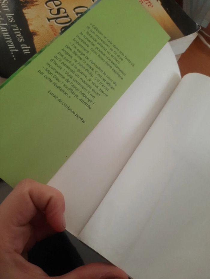 Roman d'été - photo numéro 7