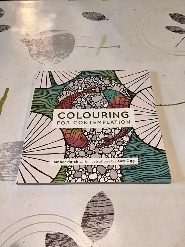 Livre coloriage contemplation coloriage zen
