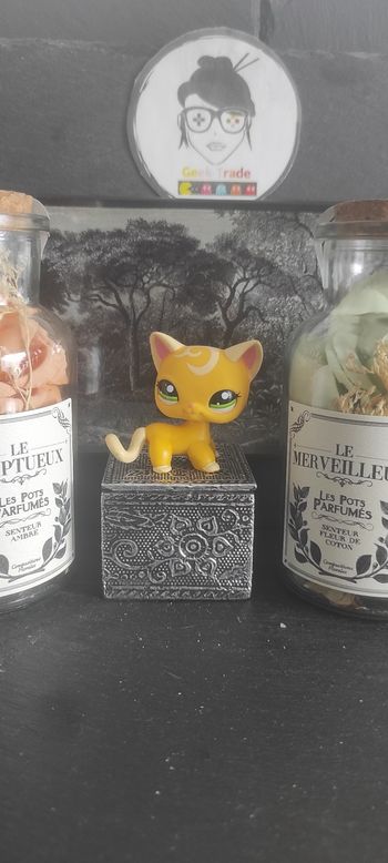 Littlest Petshop Pet Shop LPS Authentic  Authentique cat Shorthair European 2194