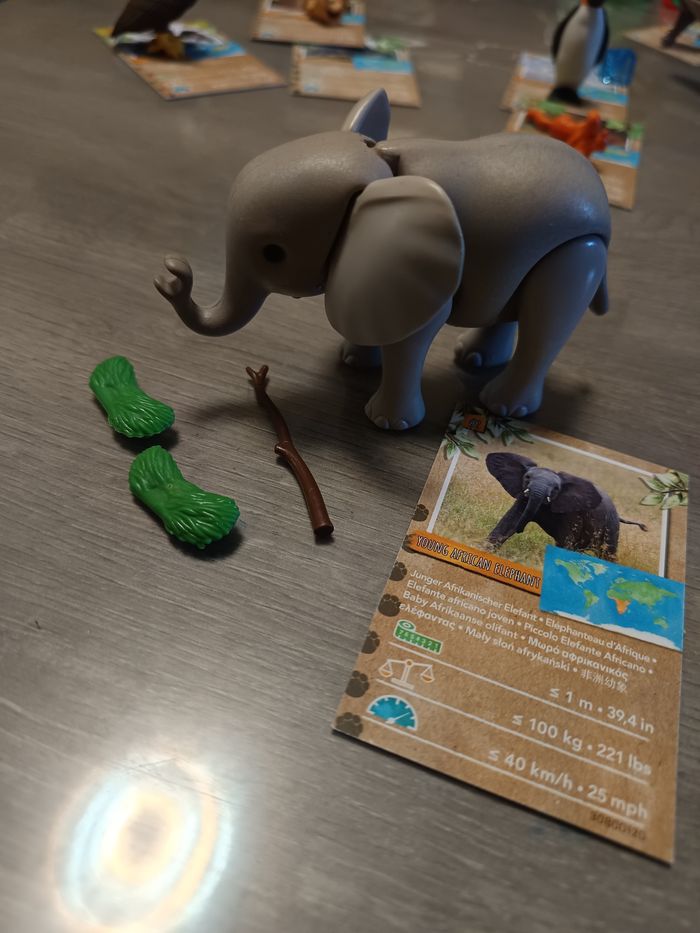 Playmobil wiltopia éléphanteau