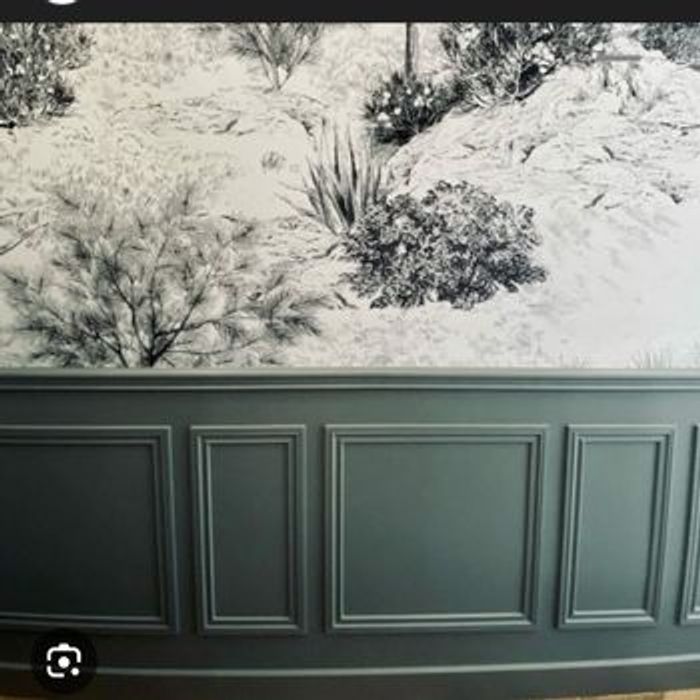 Peinture à la chaux