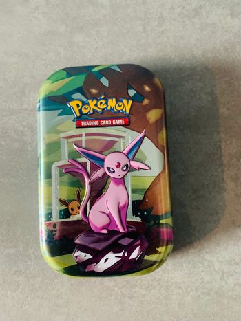 Mini tin vide pokemon mentali