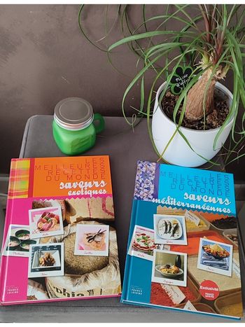 Lot de deux livres de cuisine France Loisirs