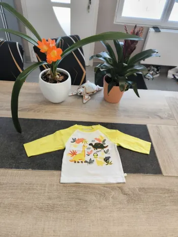 Tee-shirt garçon ml 6 mois LCDP