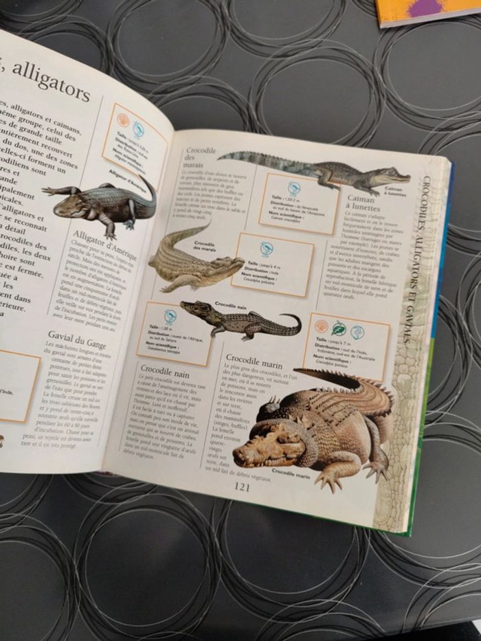 Larousse Junior des Animaux en excellent état - photo numéro 4