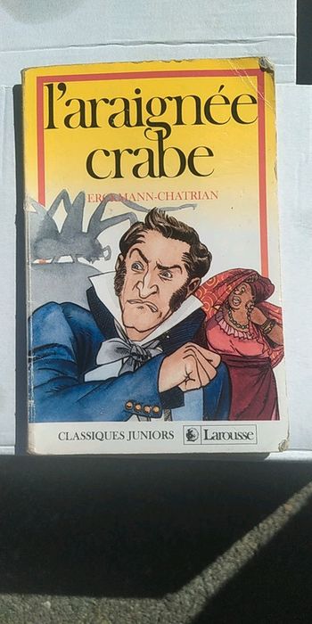 L'araignée crabe
