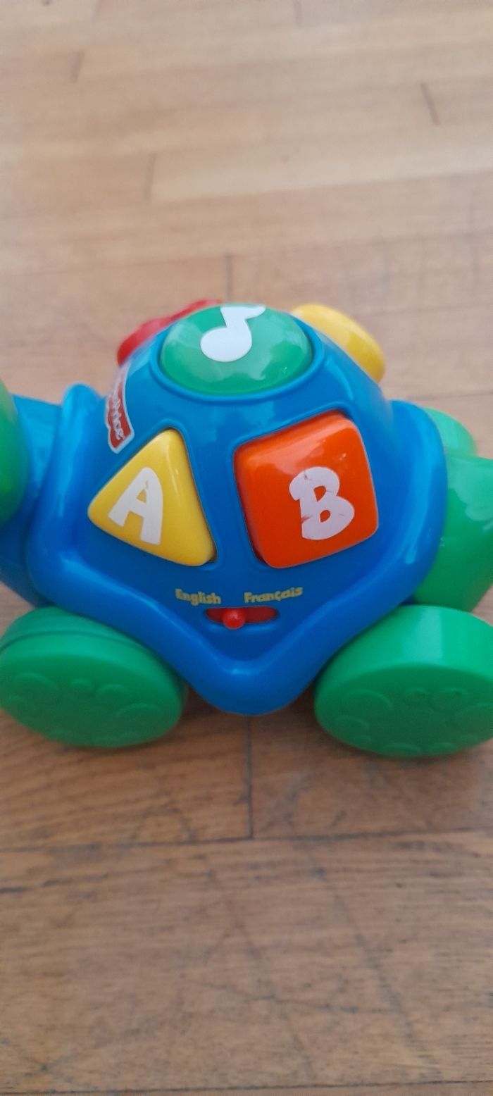 Tortue interactif - photo numéro 3