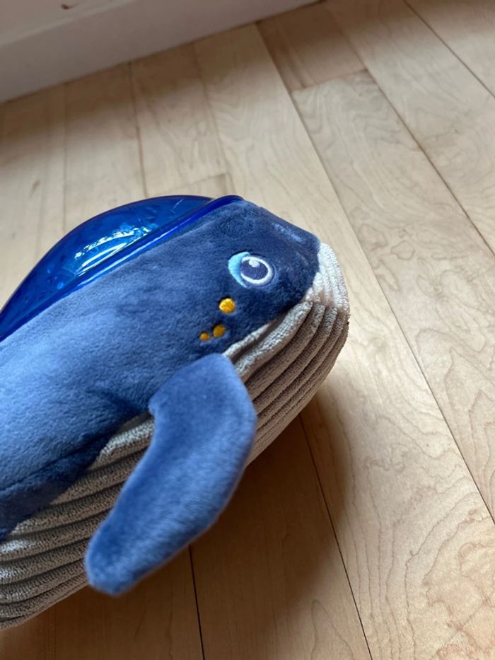 Baleine Pabobo - photo numéro 4