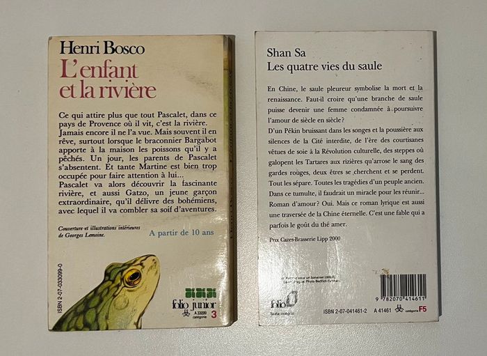 Les quatres vies du Saule / L’enfant et la rivière - photo numéro 2