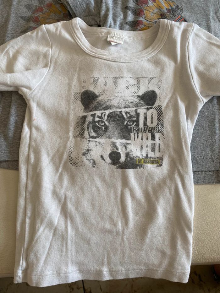 Lot 6 maillots t-shirt tricot de peau 4 ans Absorba - photo numéro 5