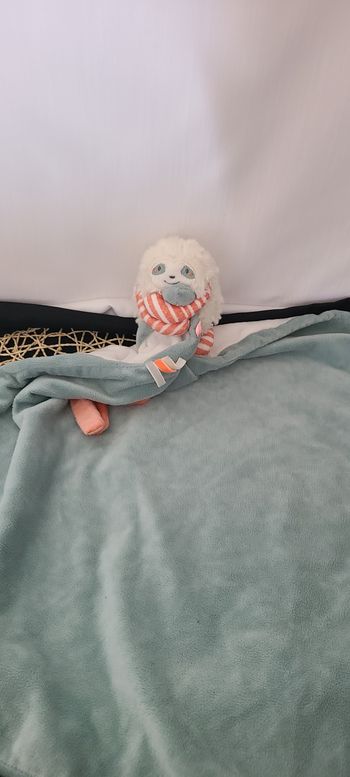 Doudou paresseux couverture Moris et Sacha NOUKIE'S