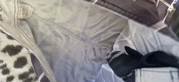 Short Maillot de bain - photo numéro 5