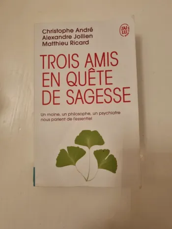 Trois amis en quête de sagesse