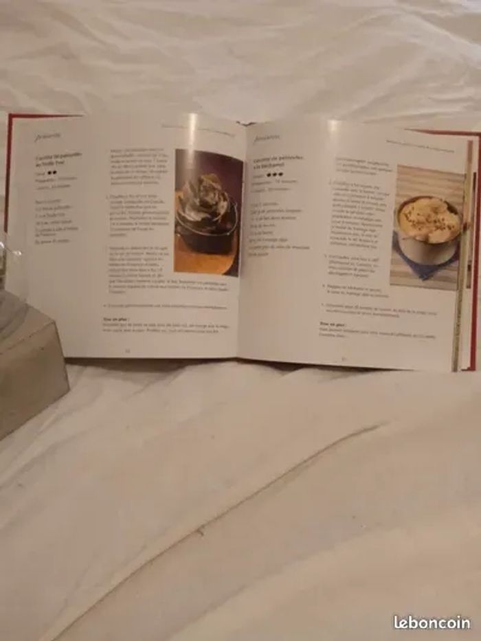 Livre de recettes Les cocottes - photo numéro 2