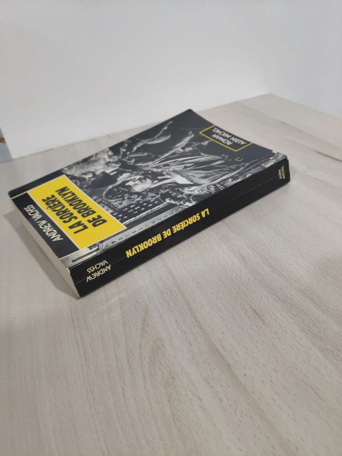 Livre grand format La sorcière de Brooklyn Vachss - photo numéro 5