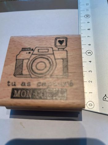 Tampon bois neuf Florilèges Design appareil photo