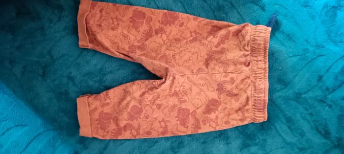 Pantalon léger bébé garçon dinosaure - photo numéro 2