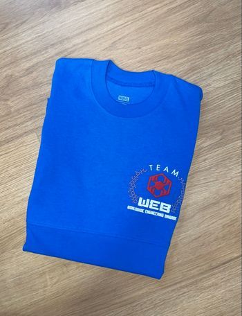 Spirit Jersey Marvel Avengers Campus Disneyland gris et bleu