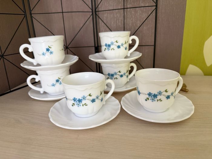 tasses Arcopal avec soucoupes Myiosotis - photo numéro 2