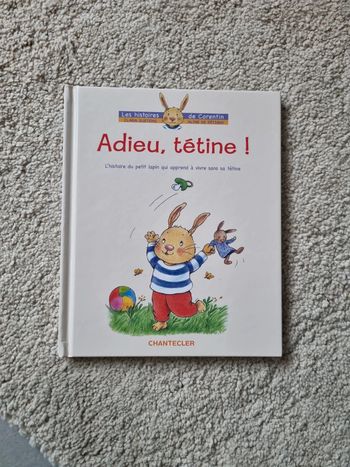 Livre Adieu tétine