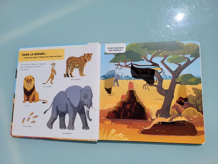 Livre animé Doc flap 🦒 Les animaux de La Savane africaine 🦏 - photo numéro 3