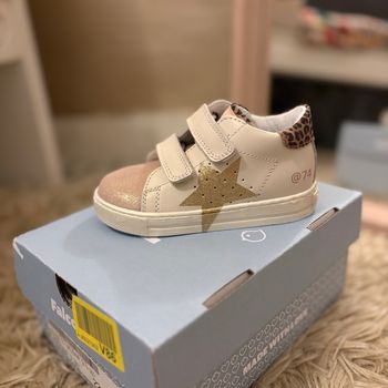 Basket neuve Falcotto