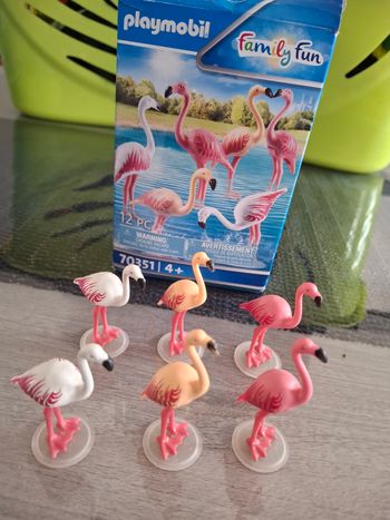 Lots de flamments rose