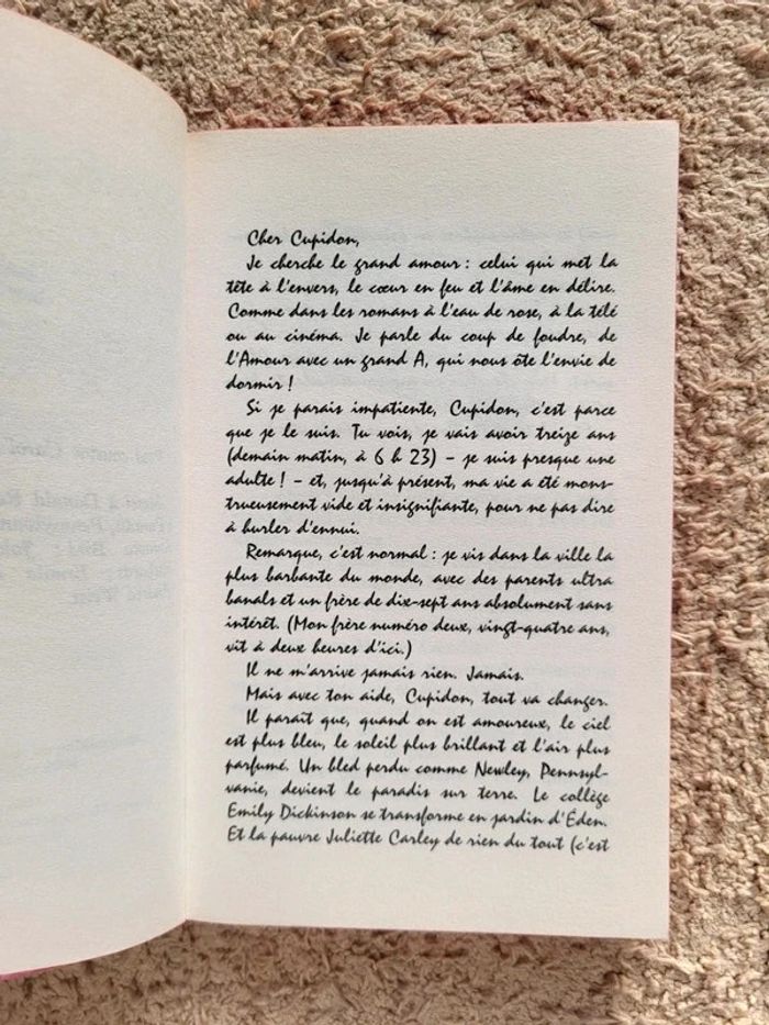 Roman jeunesse L'amour en toutes lettres dr Francess Lantz - photo numéro 5