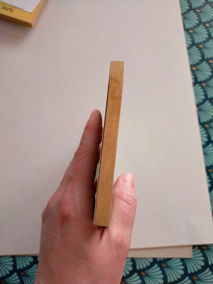 Garfield here we go again - photo numéro 4