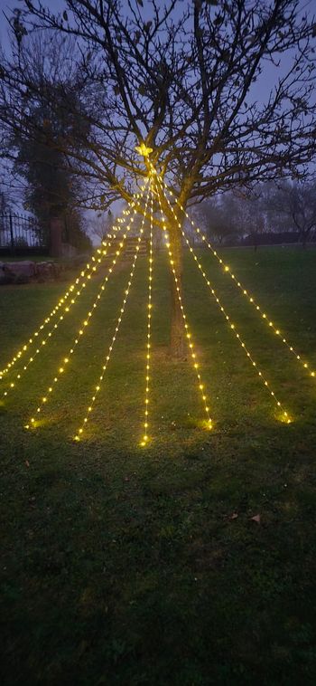 Guirlande forme sapin solaire 3m