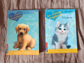 Lot de 2 livres enfants les chats et chatons magiques