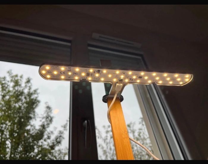 Lilo Potager d’intérieur prêt à pousser - photo numéro 7