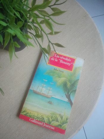 Les révoltés de la bounty de Jules Verne