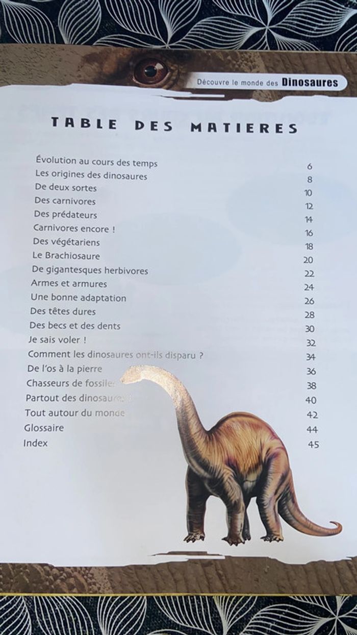 Livre Découvre les dinosaures - photo numéro 7
