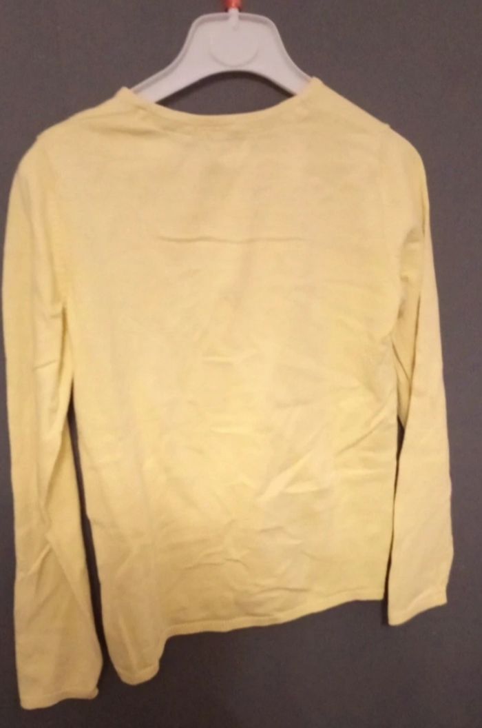 Gilet jaune pâle - photo numéro 2