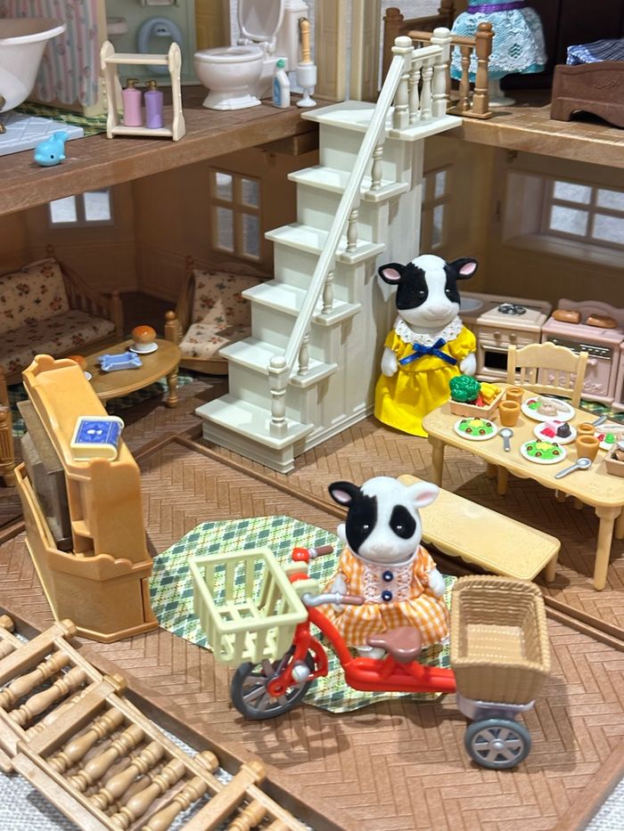 Grand maison éclairée complète et famille vache - photo numéro 5