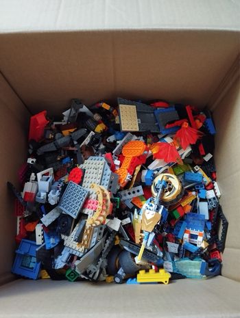 1000 pièces LEGO OFFICIELLES