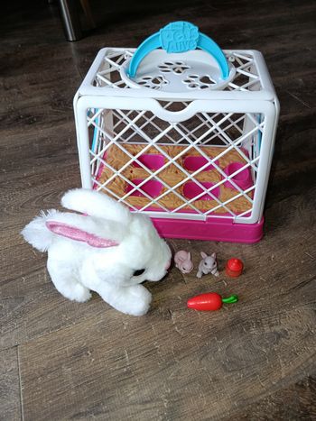 Maman lapin et ses bébés 