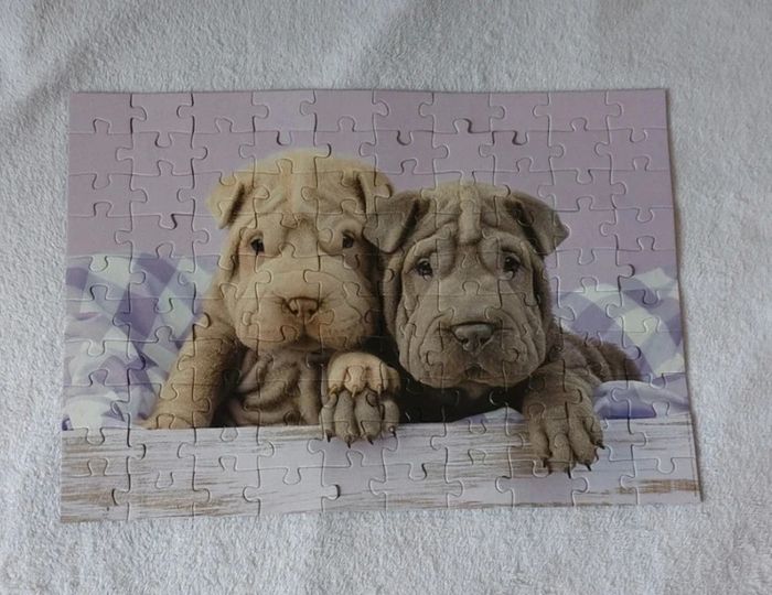 Puzzle chiots Shar-Peï (100pcs) - photo numéro 2