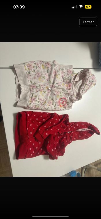 Vestes